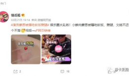 娱乐吃瓜爆料素材视频,最新吃瓜爆料视频大汇总